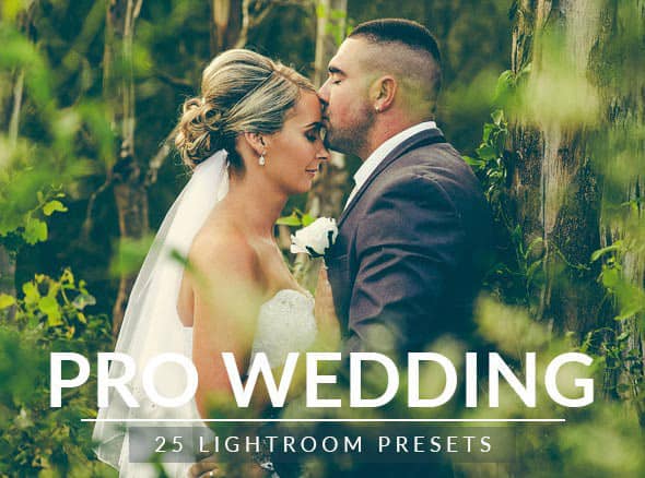 25专业婚礼Lightroom预设 25 Pro Wedding Lightroom Presets