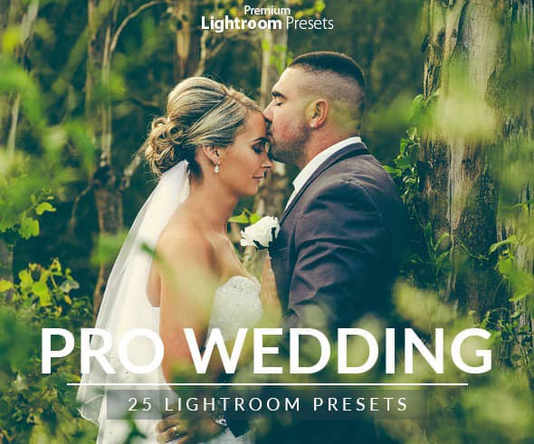 25组专业婚纱婚礼跟拍Lightroom预设 Wedding Lightroom Presets