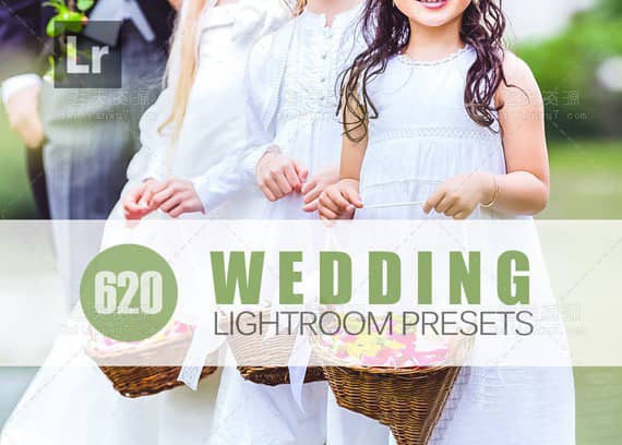 620组专业婚礼婚纱Lightroom预设 Wedding Lightroom Presets Vol 2