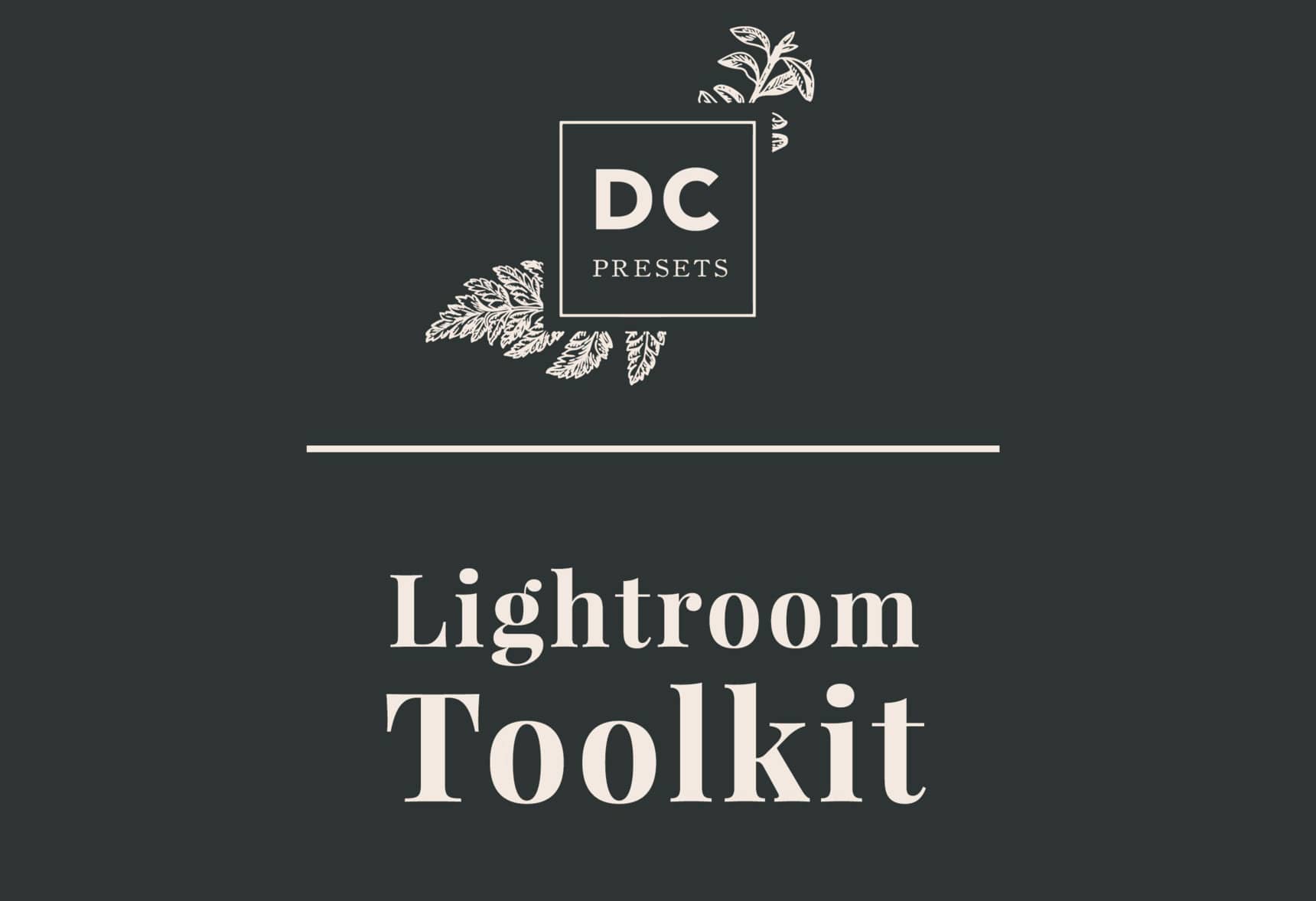 Dawn Charles胶片婚纱大片Lightroom预设工具包 DC Lightroom Toolkit