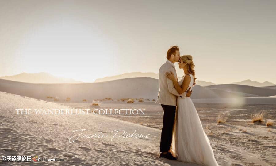 Jasmin Pickens 情侣婚礼家庭摄影后期Lightroom预设The Wanderlust LR