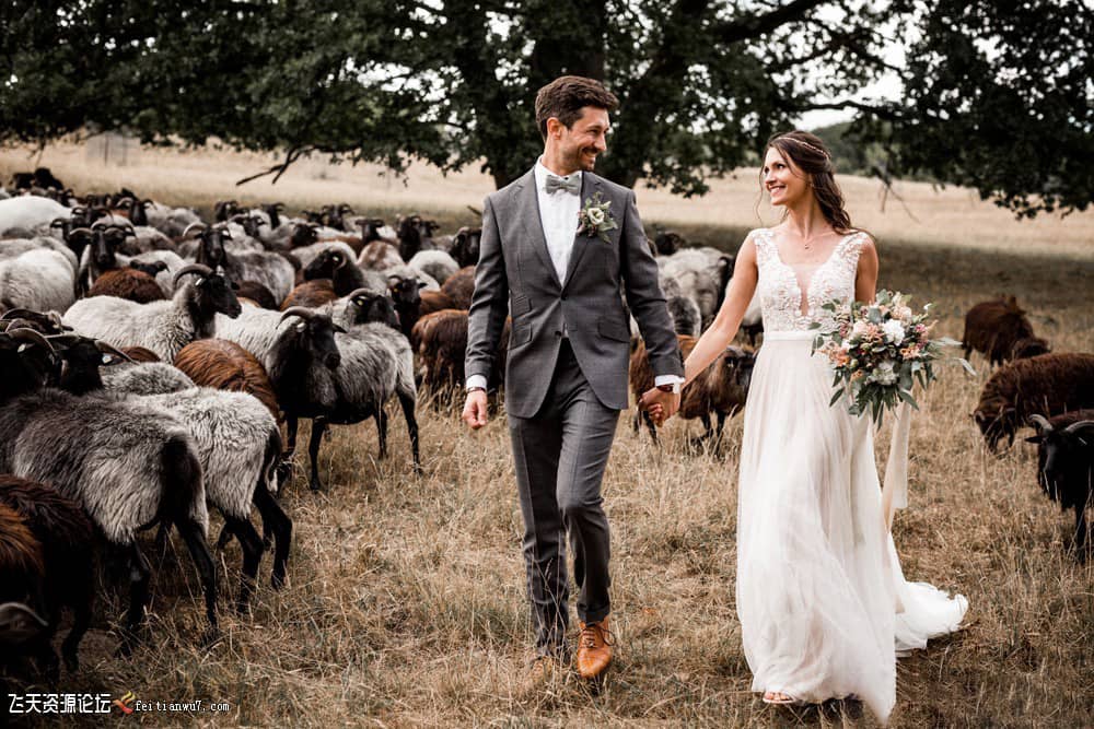 Kathi and Chris 2019 凯蒂-克里斯婚礼胶片Lightroom预设合集