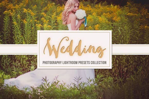 婚礼跟拍Lightroom预设集合 Wedding Lightroom Presets Collection