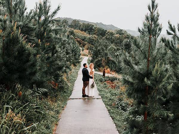 无花果树简约森系婚礼胶片LR预设 AndrewSunColor Fig Tree Lightroom