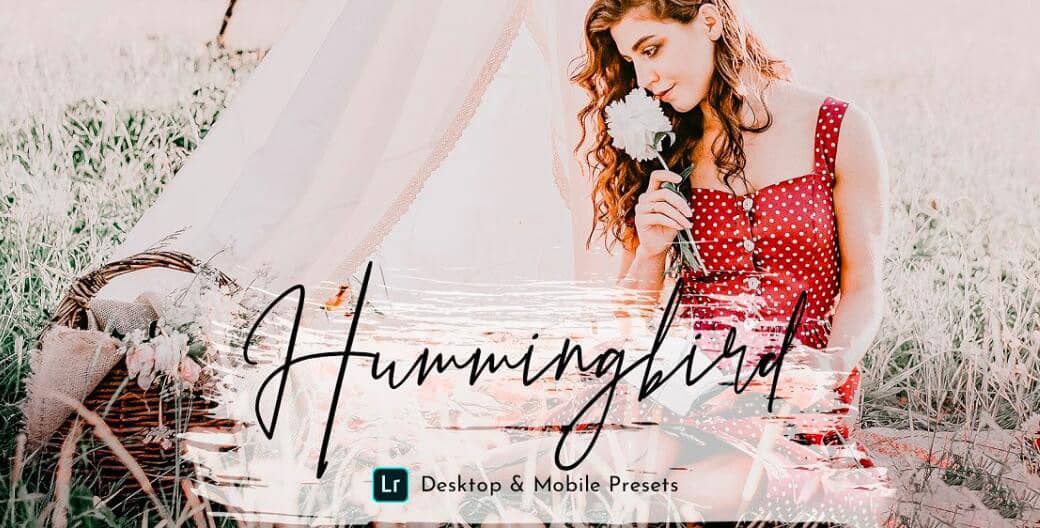 清新复古婚礼人像后期调色Lightroom预设 HummingBird Lightroom Presets Pack