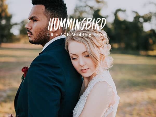 温暖桃色肤色婚礼Lightroom预设  Hummingbird Lightroom Presets