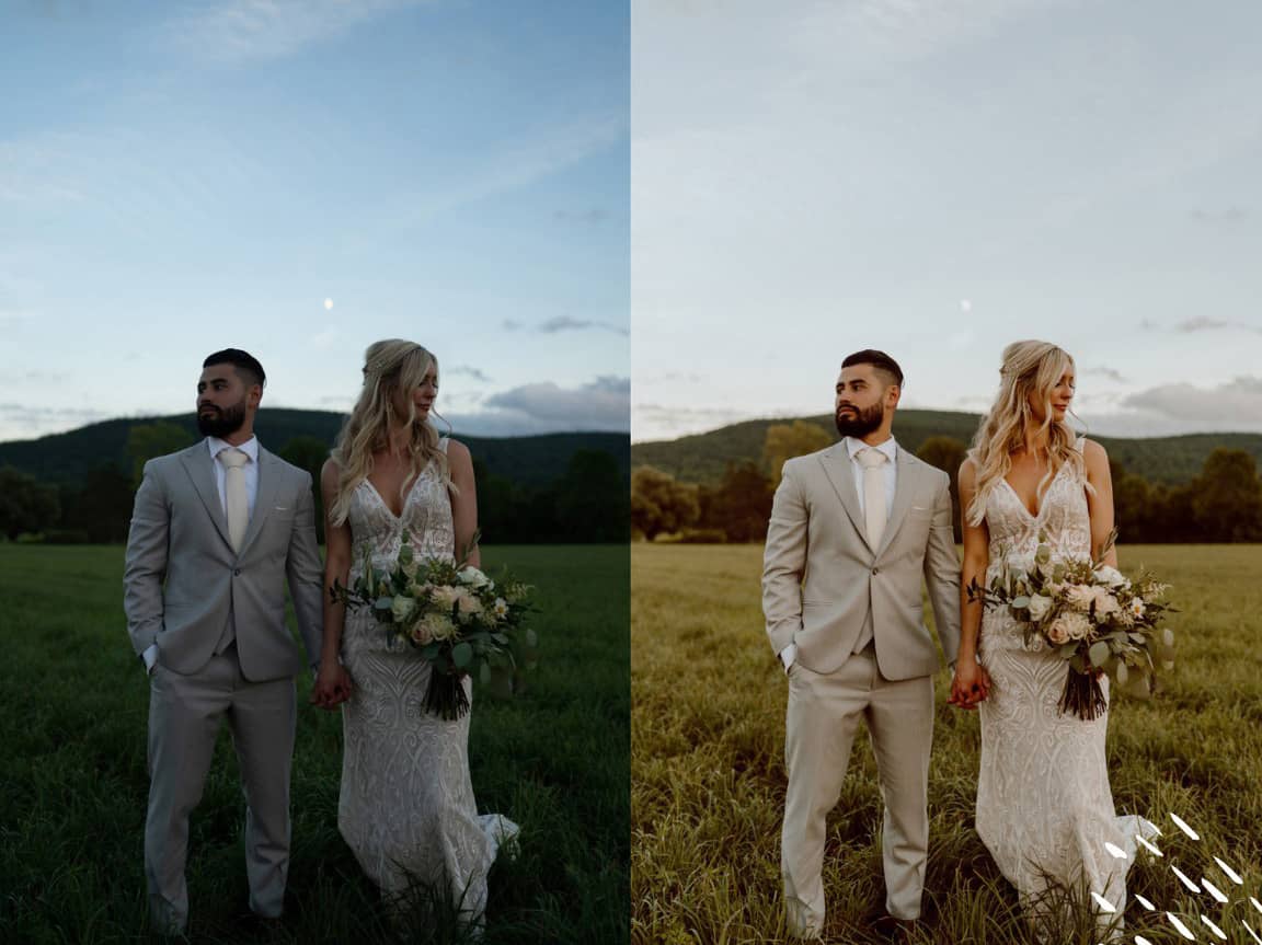 温暖金色奶油质地完美婚礼Lightroom预设 Cassidy Lynne The Honey Boba Preset