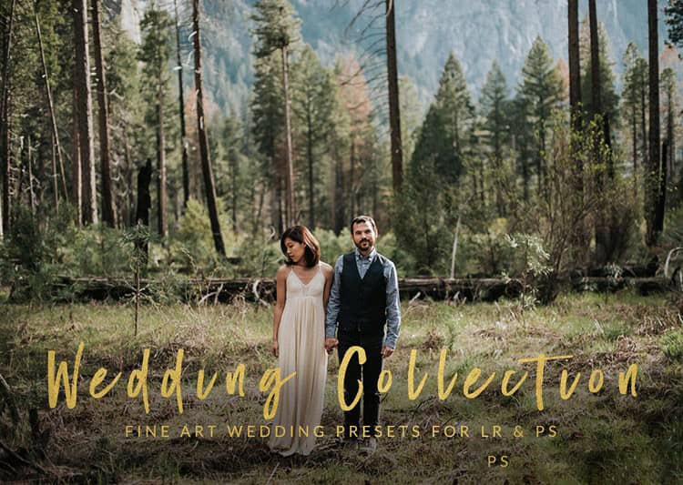 现代艺术婚礼Lightroom预设合集 Modern Lightroom amp Photoshop Bundle