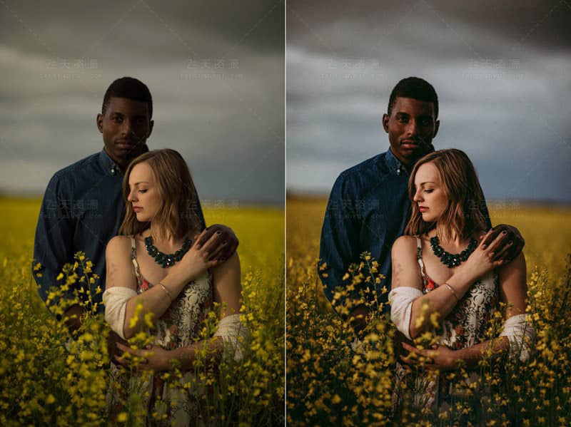 生机勃勃的婚礼人像Lightroom预设Adobe Camera Raw ACR预设