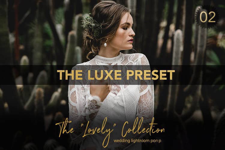 艺术婚礼专业Lightroom预设 Fine Art Wedding Pro Lightroom Preset