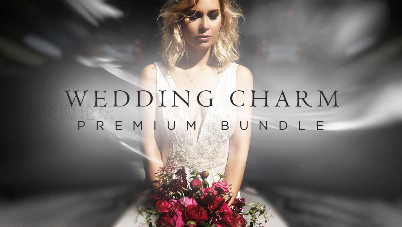顶级婚礼魅力套装 LR+ACR预设WEDDING CHARM PREMIUM BUNDLE (1250+ ITEMS)