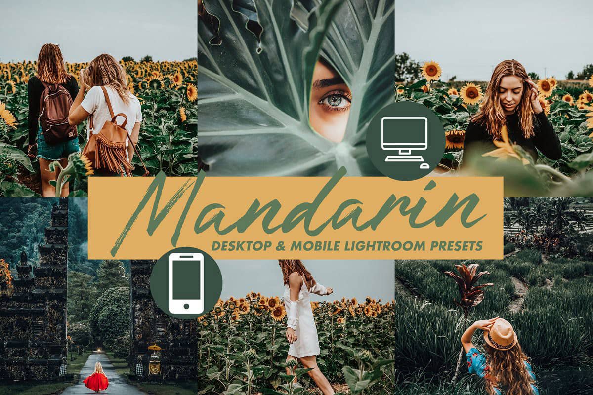 INS风森系电影胶片LR预设手机修图LR预设 Mobile Lightroom Presets