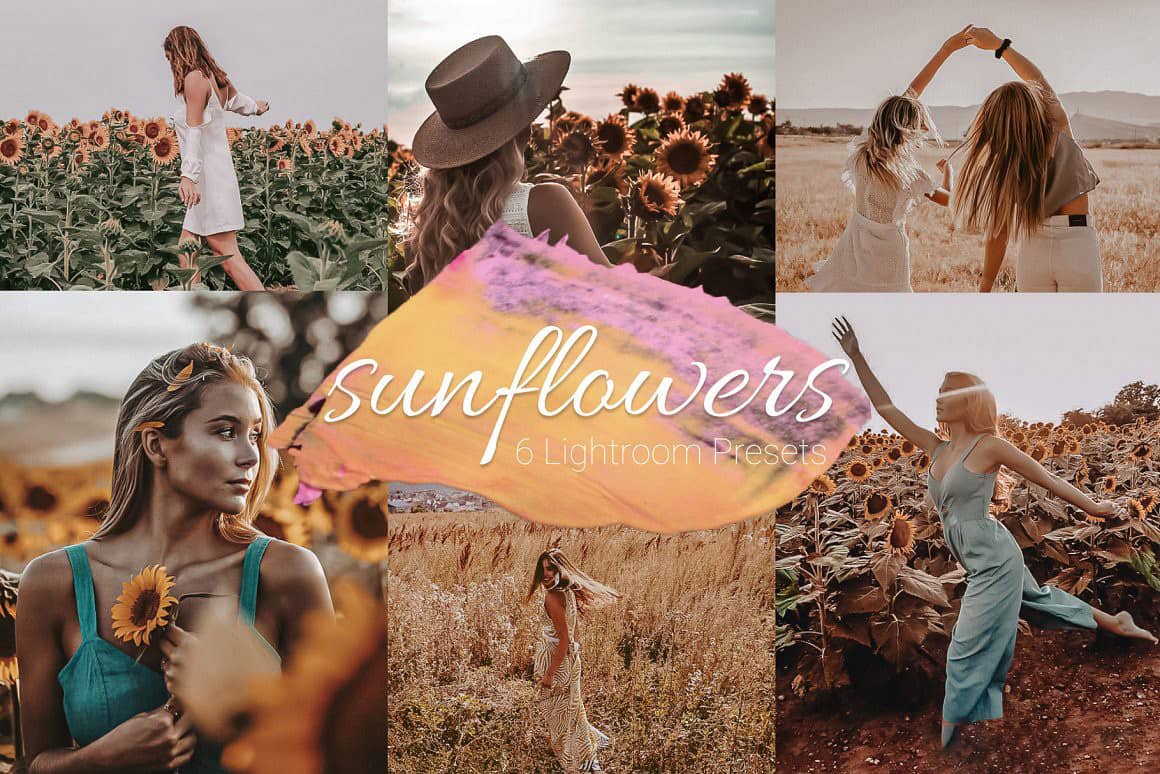 向日葵花田暖调胶片写真人像Lightroom 预设与移动版LR预设