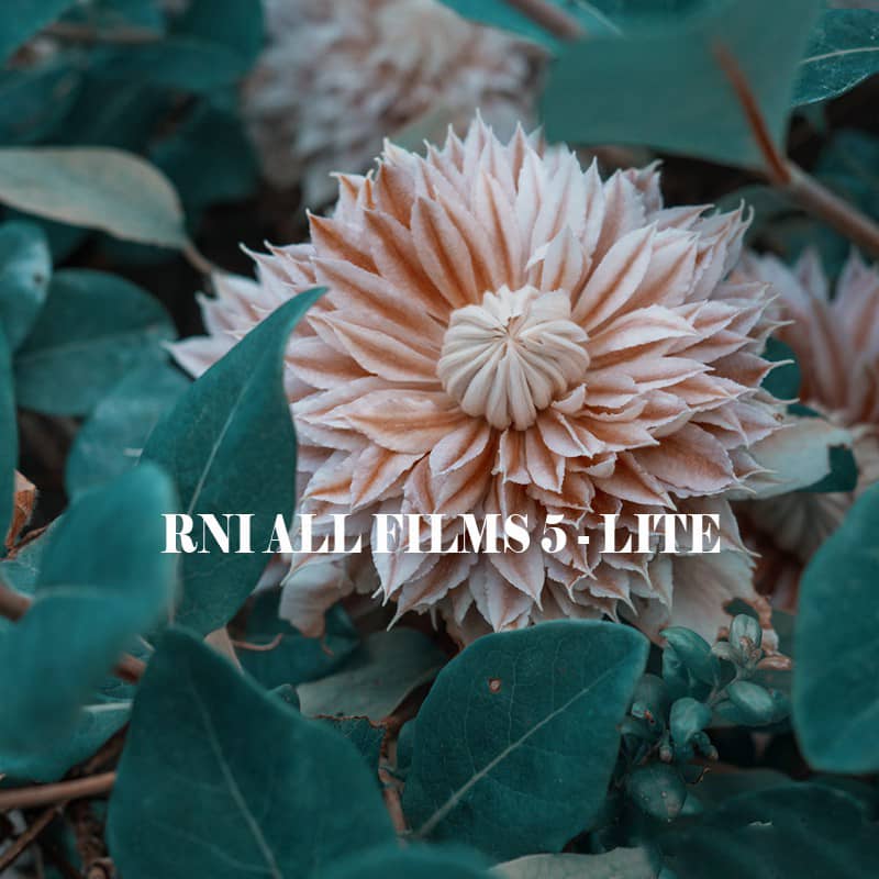 国外顶级电影胶片Lightroom预设-富士柯达幻灯片复古电影胶片