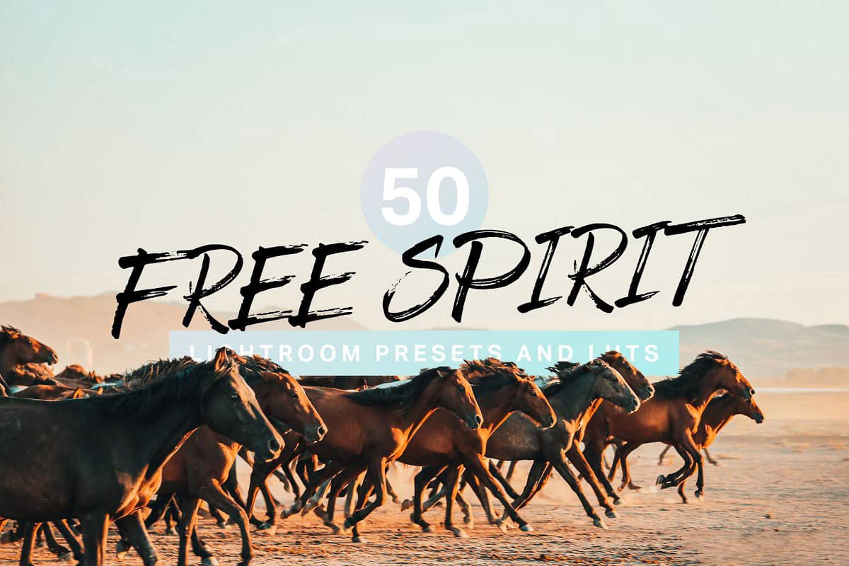 旅拍电影胶片LR预设+视频剪辑LUT预设  Free Spirit Lightroom Presets