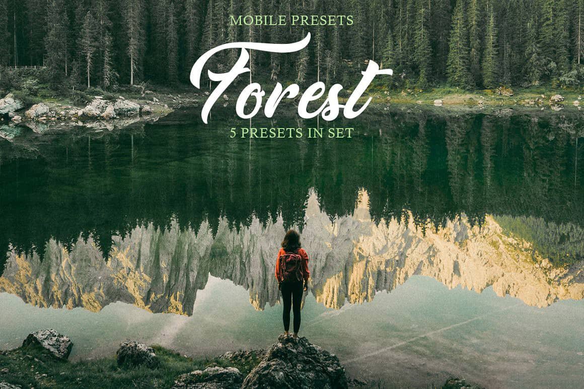 森系旅拍电影胶片色调LR预设移动APP预设 Forest Mobile Presets