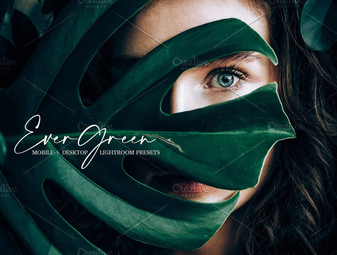 森系柔和电影胶片LR预设手机LR预设 Evergreen Lightroom Presets