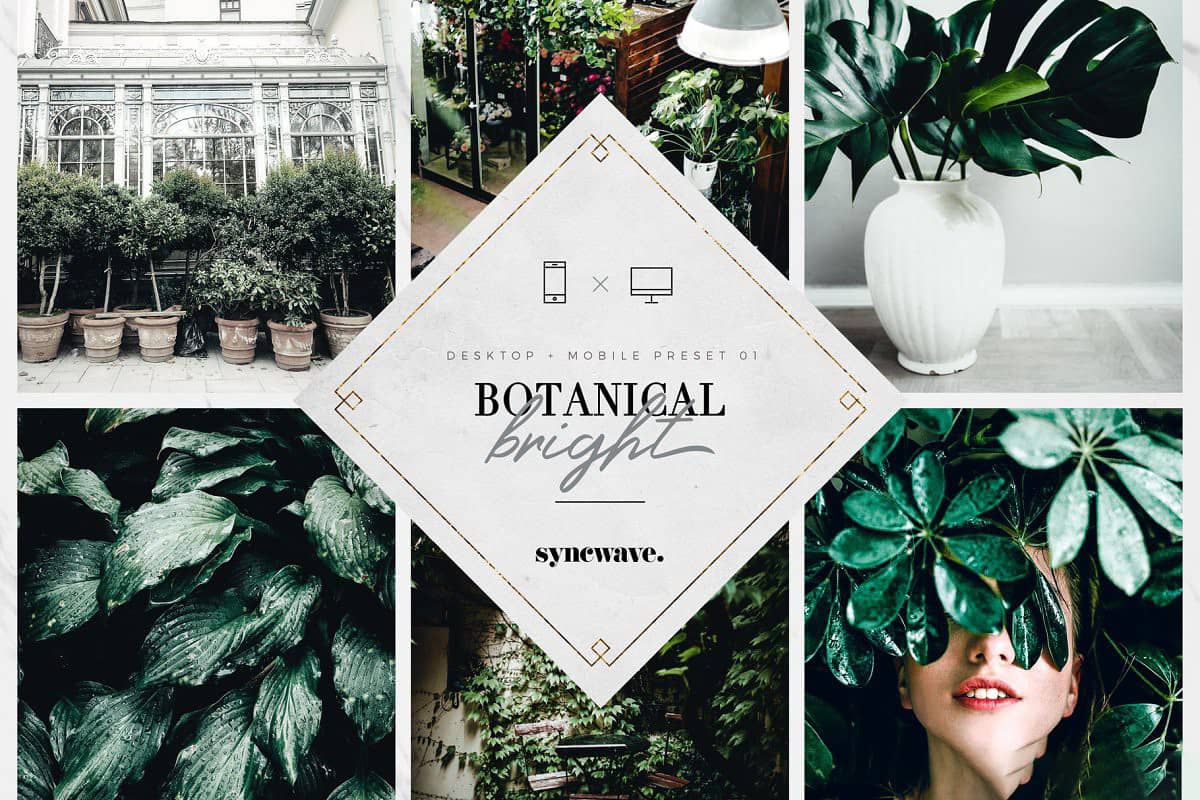 清新植物静物胶片LR预设移动APP预设 Botanical Lightroom Presets