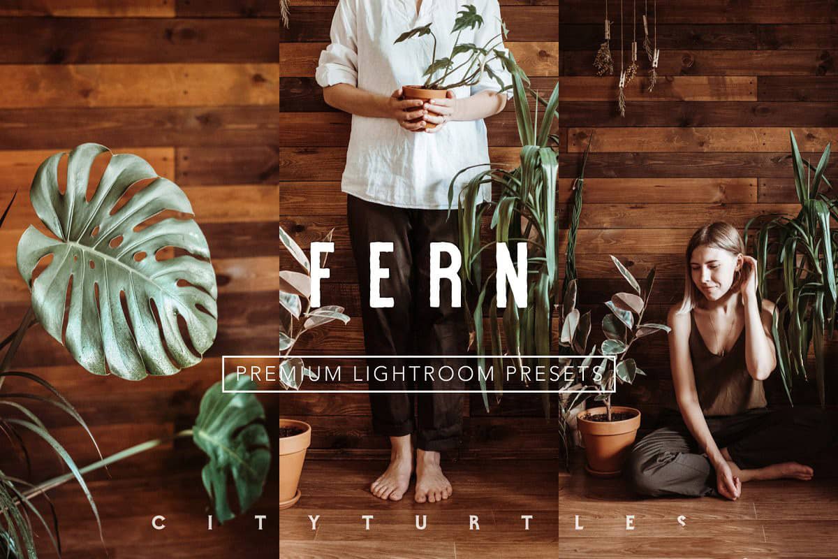 穆迪·费尔恩(Moody Fern)胶片LR预设Rich Warm FERN Lightroom Presets