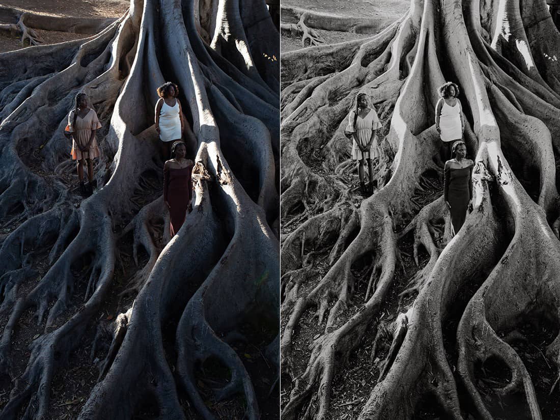 部落群岛‘狼群重生’胶片人像Lightroom预设 Archipelago – Wolf Pack ReWild