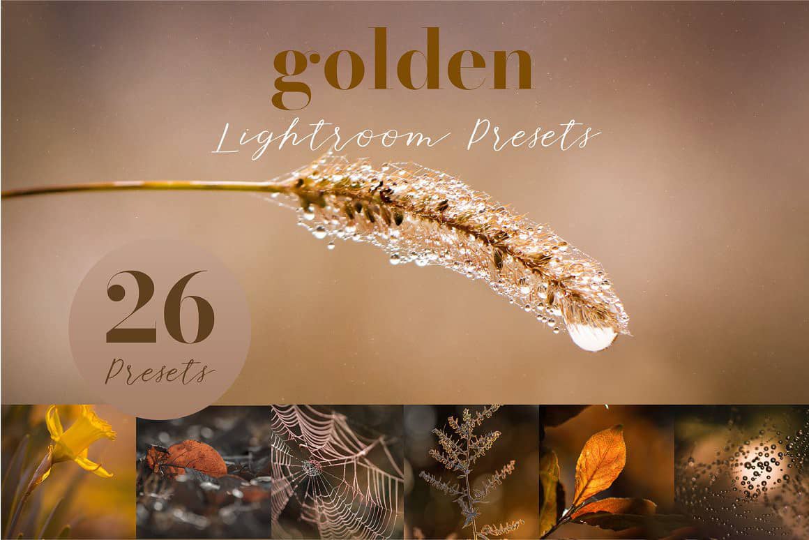 26个秋季微距风光金色调Lightroom预设 Golden Lightroom Presets