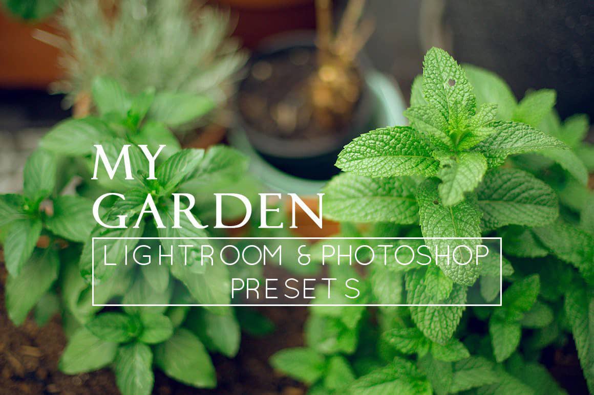 9个自然花卉摄影后期调色Lightroom预设 9 Nature Lightroom Presets