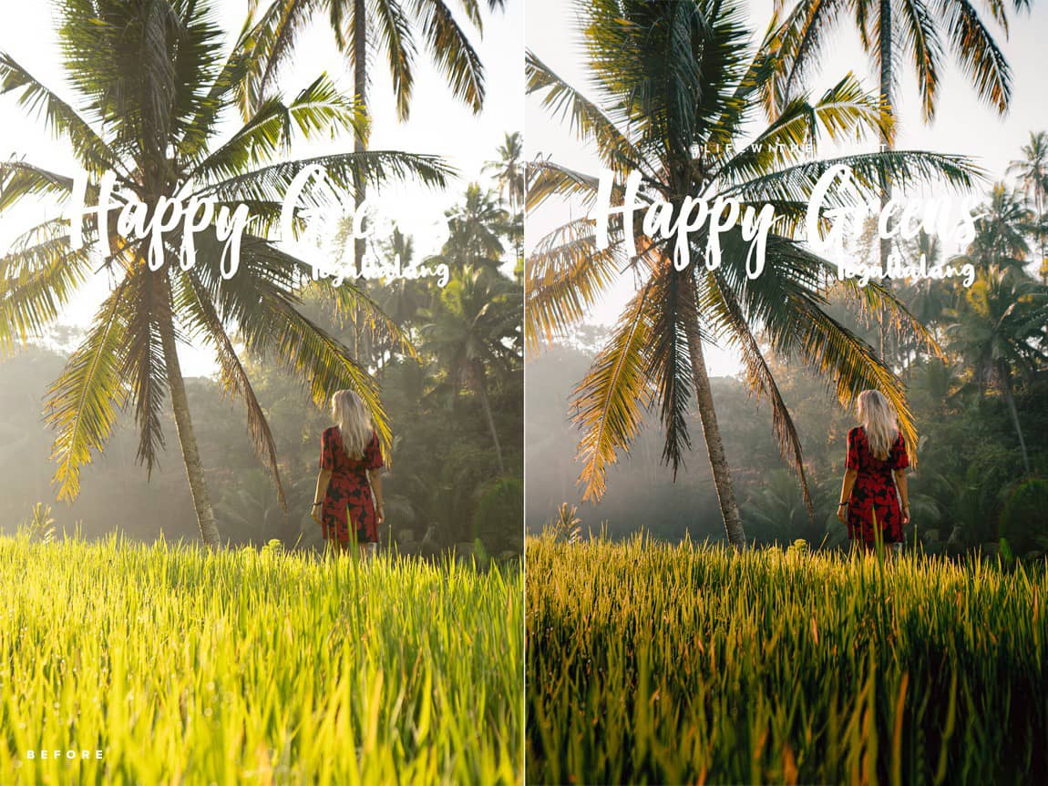 INS旅拍风光LR预设手机版调色滤镜Lightroom预设-大师收藏版