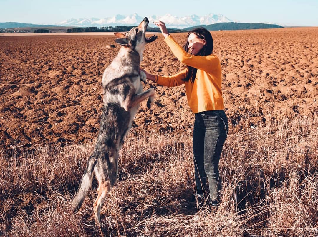 Kopernikk 超现实分级颜色Lightroom预设+手机版lr预设4 Seasons v1 LR