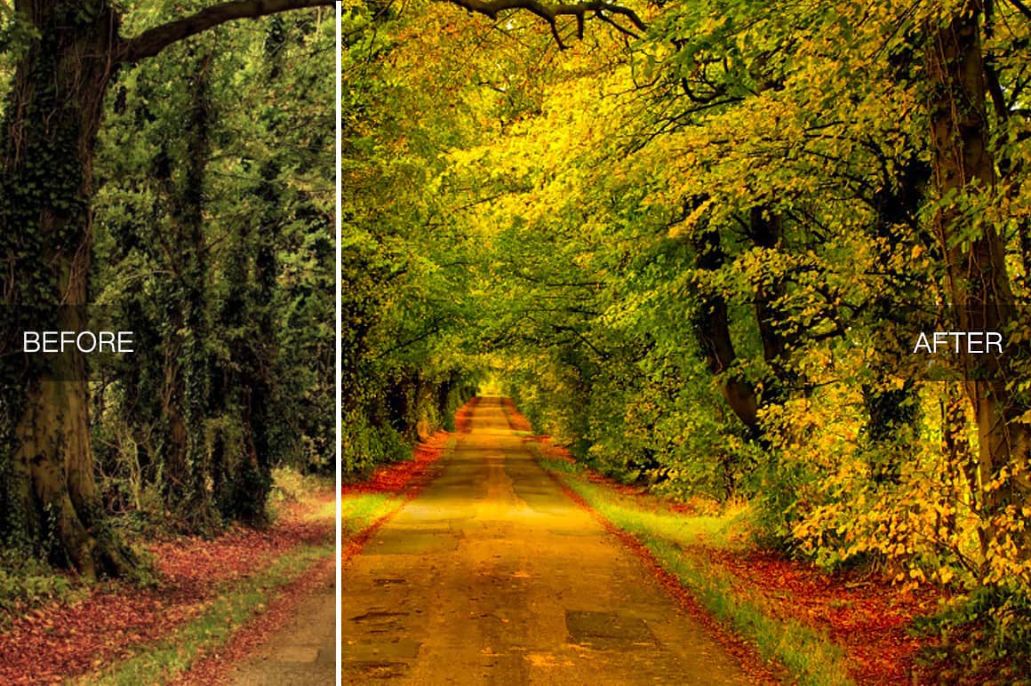 LR预设之35款风景照片-秋季美景效果