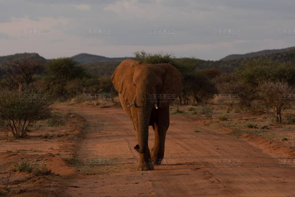 世界户外摄影金奖-米歇尔·彼得斯(Michiel Pieters)旅拍风光Lightroom预设套装