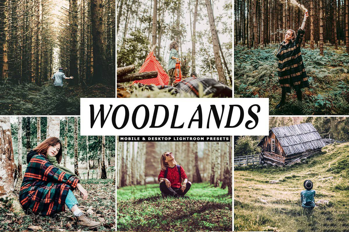 丛林探险旅拍风景Lightroom预设 APP预设 Woodlands Lightroom Presets