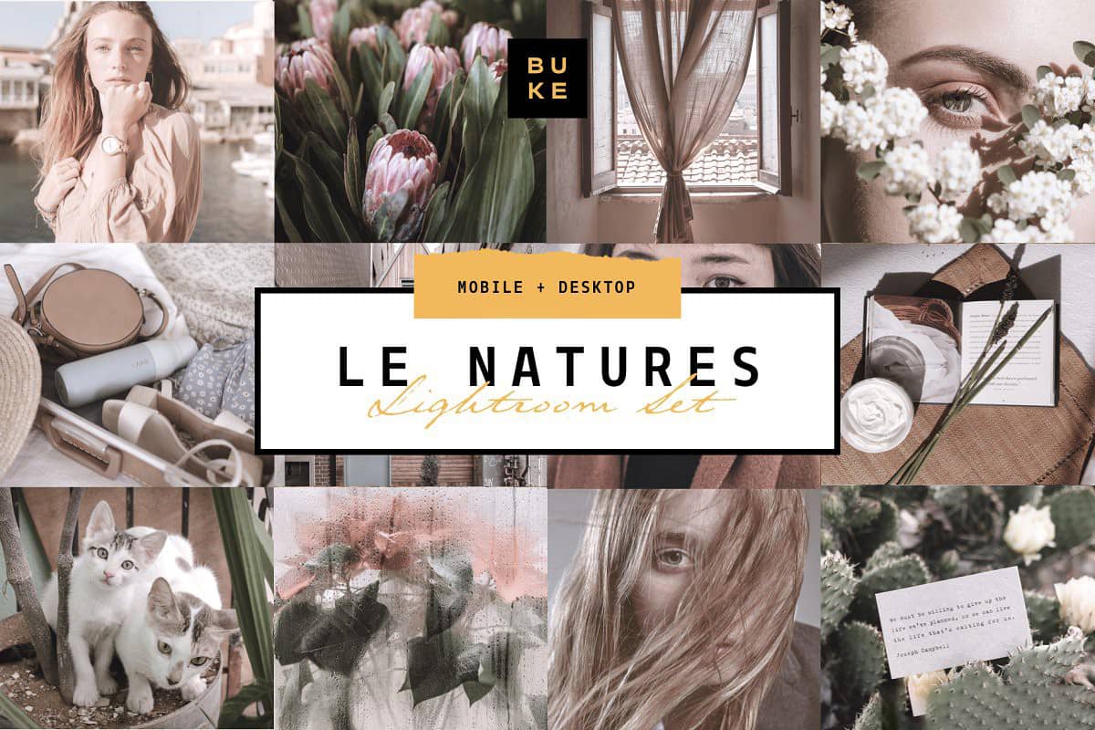 哑光柔和中性色调风景人像Lightroom预设+移动手机版APP滤镜