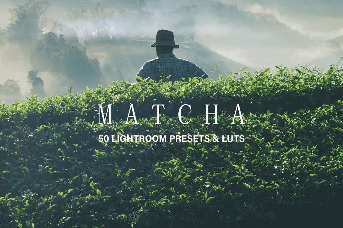 抹茶绿色调LR预设+APP预设+LUT预设 Matcha Lightroom Presets and LUTs