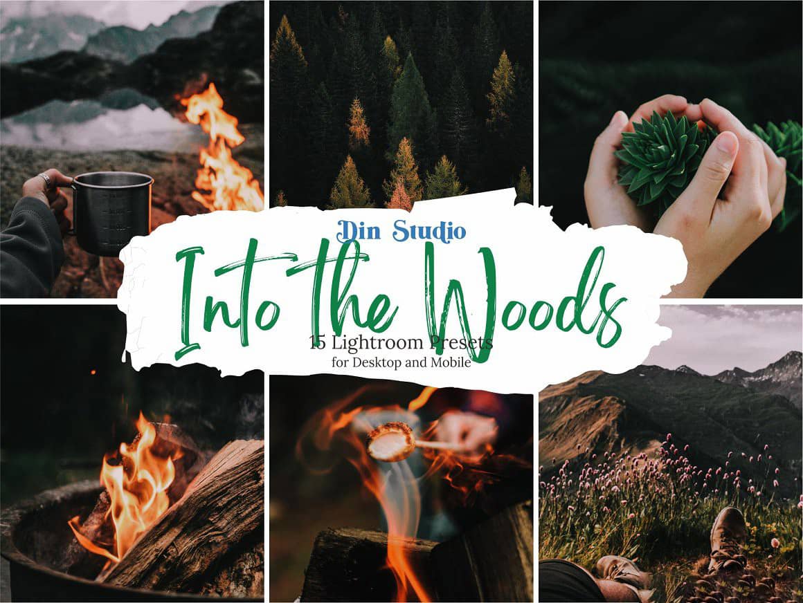 旅拍风光走进树林-胶片感色调LR预设  Into The Woods Lightroom Presets