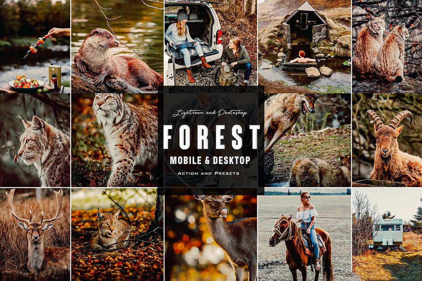 森林心情-野生动物摄影后期调色Lightroom预设 Forest Mood – Lightroom Presets