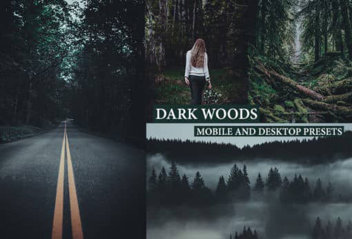 森系黑暗情绪电影胶片风光后期Lightroom预设 手机版LR预设