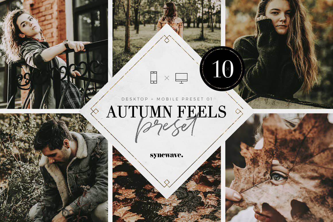 秋天气息外拍风景人像LR预设 APP预设 Autumn Feels Lightroom Presets