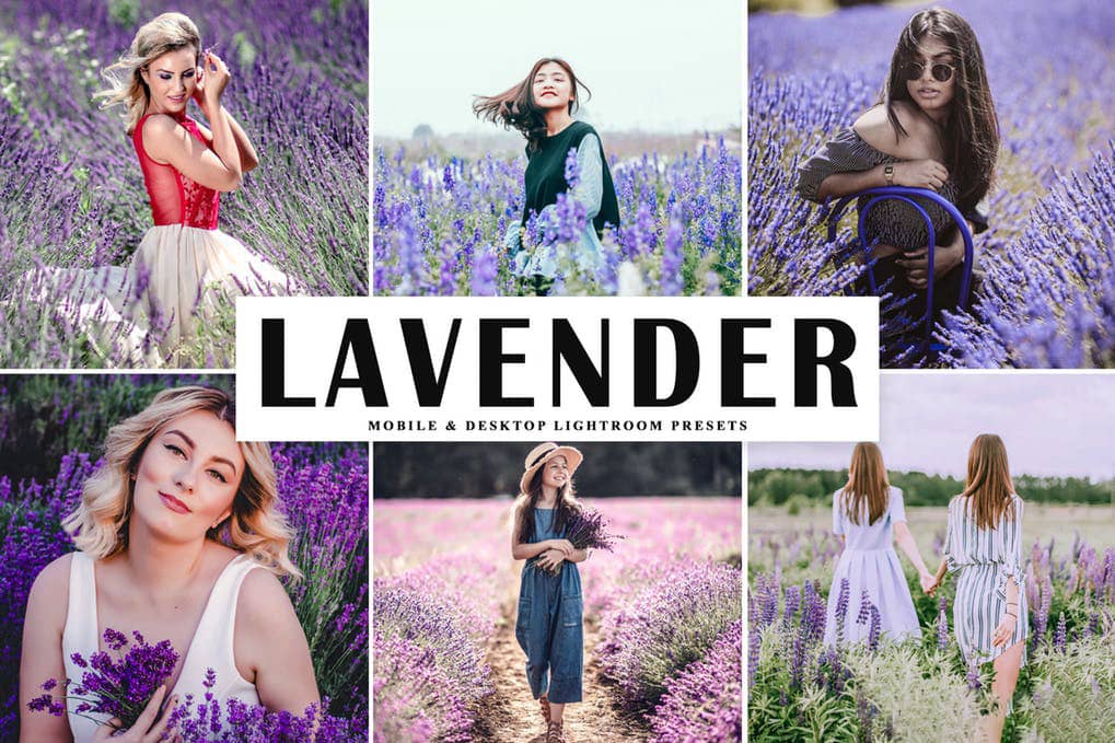薰衣草旅拍人像LR预设 移动APP预设Lavender Lightroom Presets