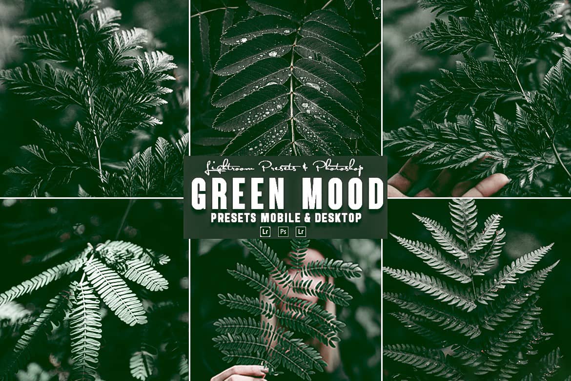 质感电影风格森系绿色调Lightroom预设Green Photoshop Action Lightrom Presets