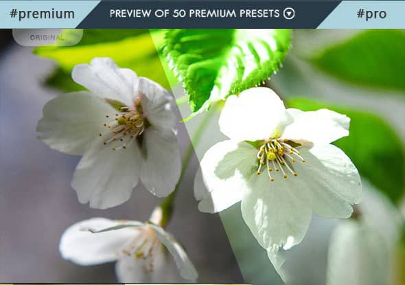 0专业的Lightroom预设包 Professional Lightroom Presets Pack – Vo.1