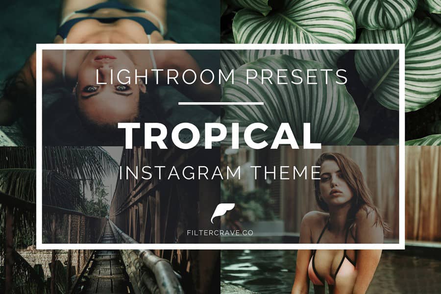 Instagram Ins风格-旅行热带风情主题Lightroom预设