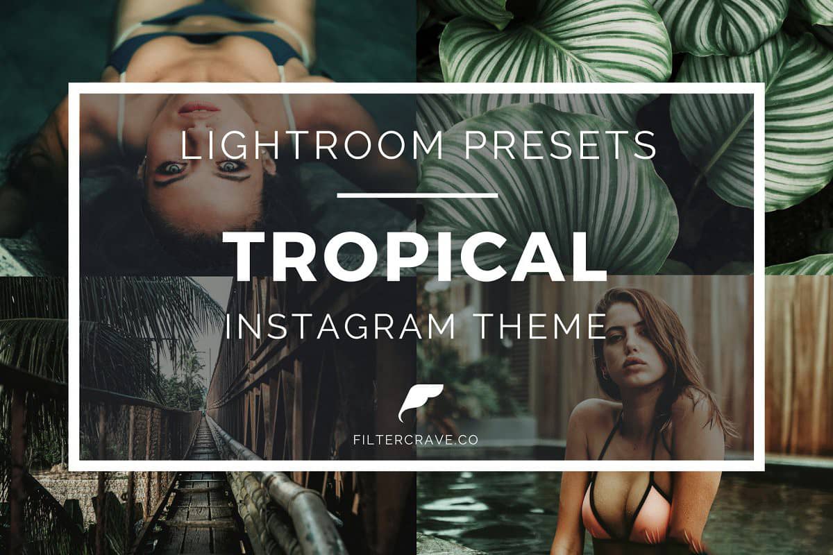 INS风格网红森系胶片人像LR预设 Tropical Lightroom Presets Instagram