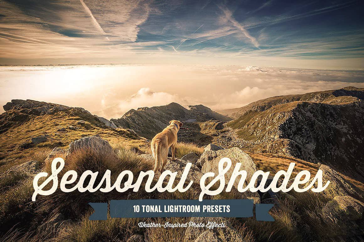 业调色Lightroom预设 Seasonal Shades Lightroom Presets 1