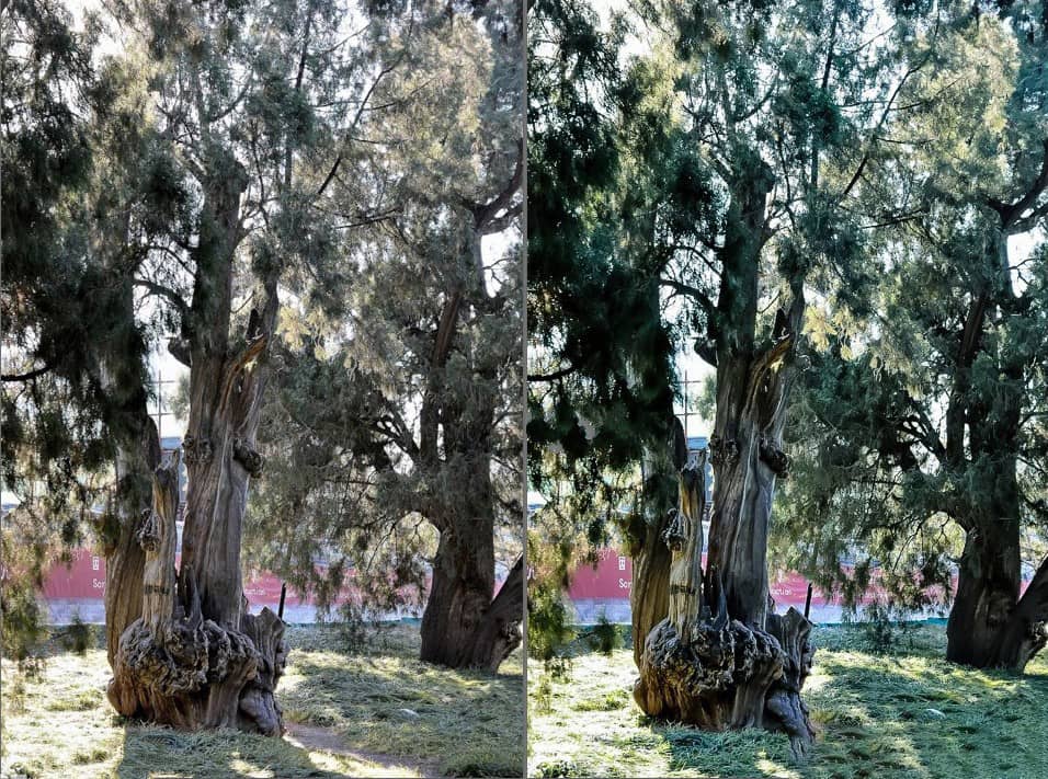 司T镀膜镜头效果LightRoom预设