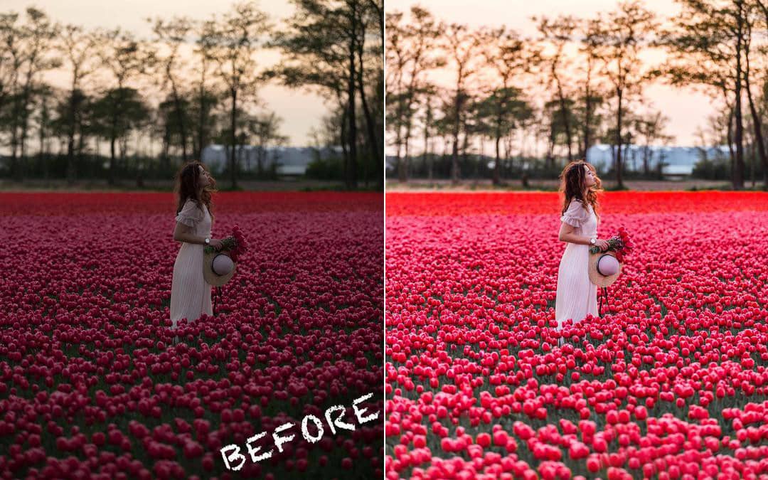 城市旅拍通透明亮人像Lightroom预设+手机版预设 Wine Lightroom