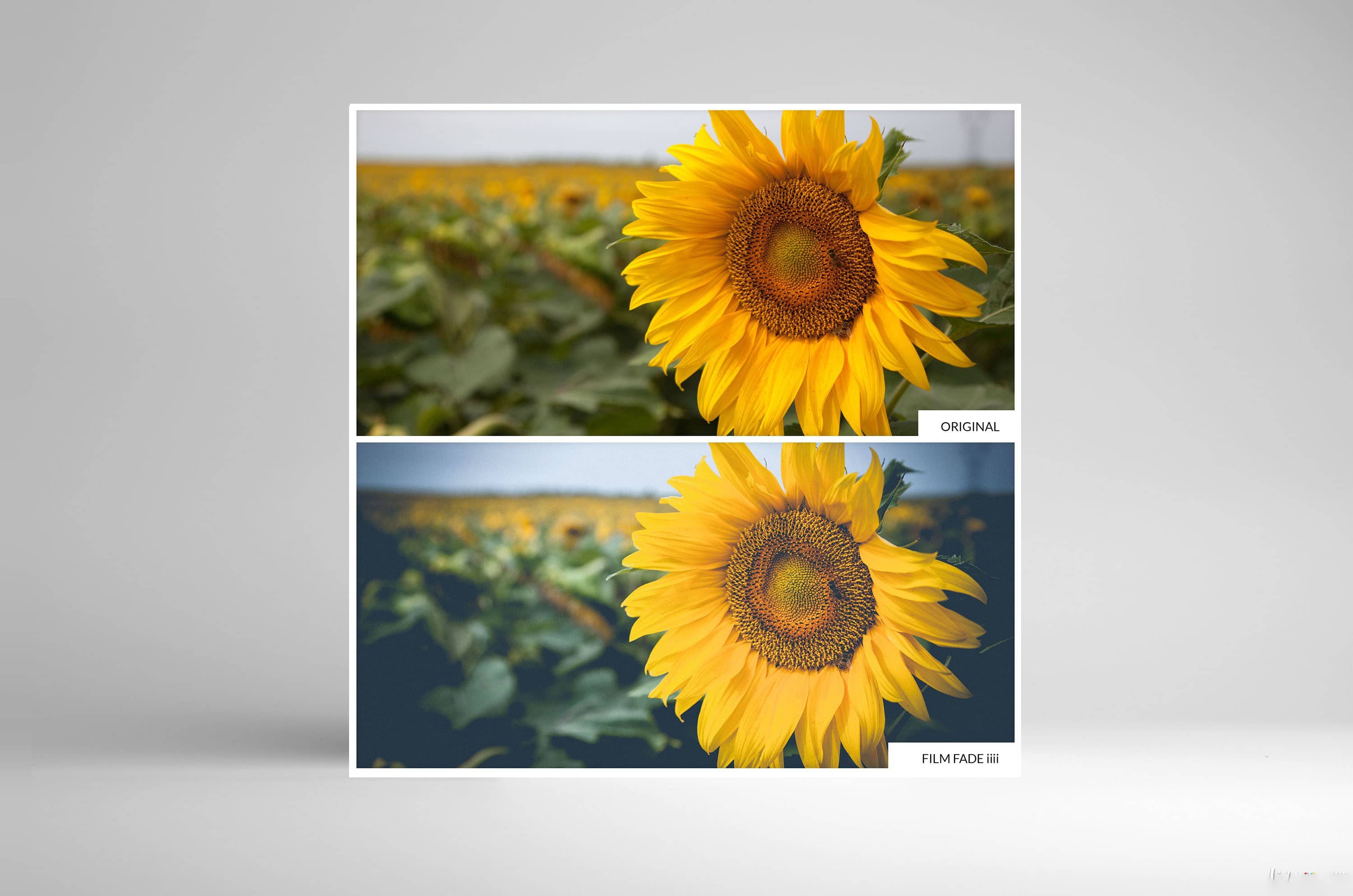 外Lightroom胶片预设下载