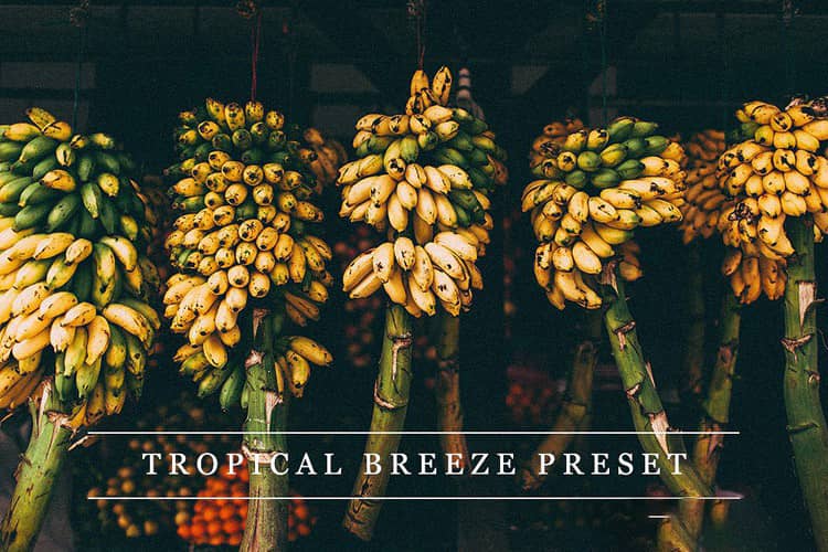 带风光摄影LR调色预设 Tropical breeze – Lightroom preset