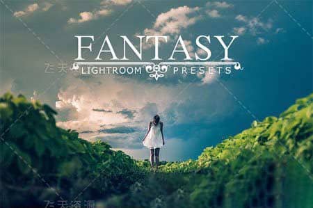 想Lightroom预设 LR预设下载