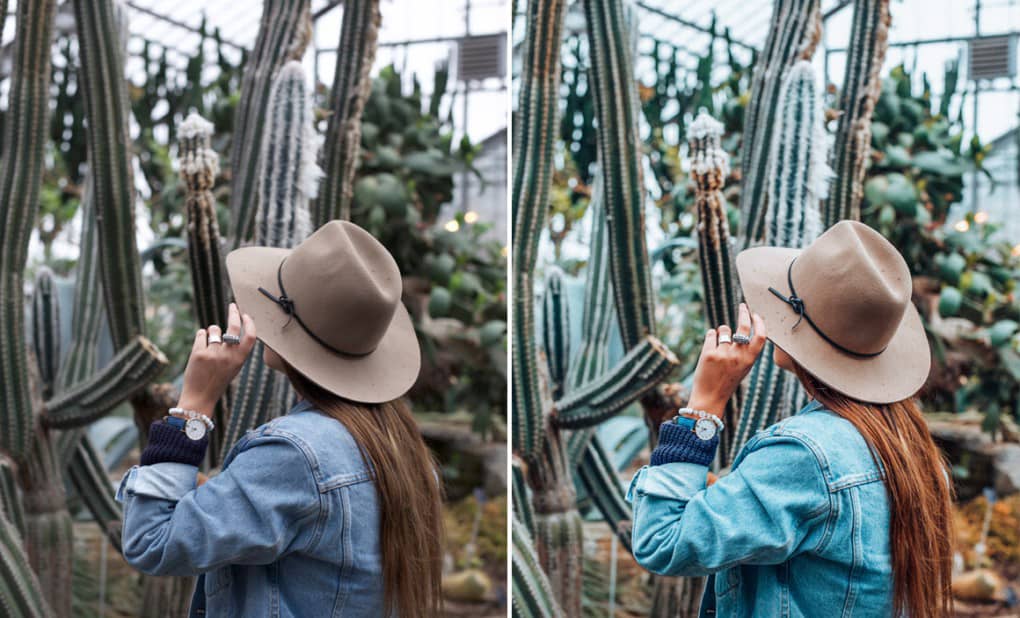 拿大摄影师Melanie Vandersluis旅行生活摄影Lightroom预设