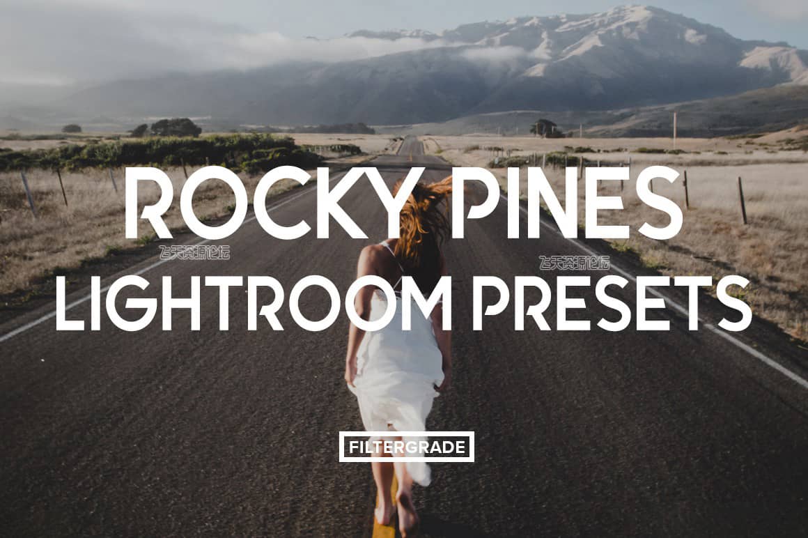 摄影师Forrest Blake旅行冒险Lightroom预设 Rocky Pines Lightroom